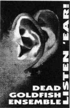 Listen 'Ear cover