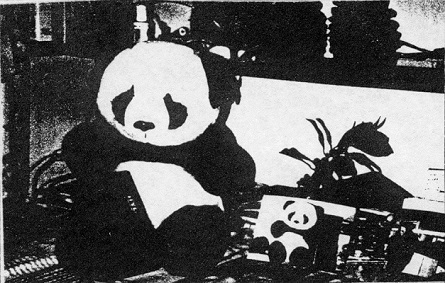 Sleeve of Music For Pandas